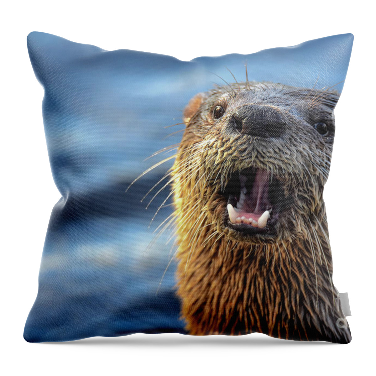 River Otter Throw Pillow featuring the photograph Otter Nonsense by Julie Adair