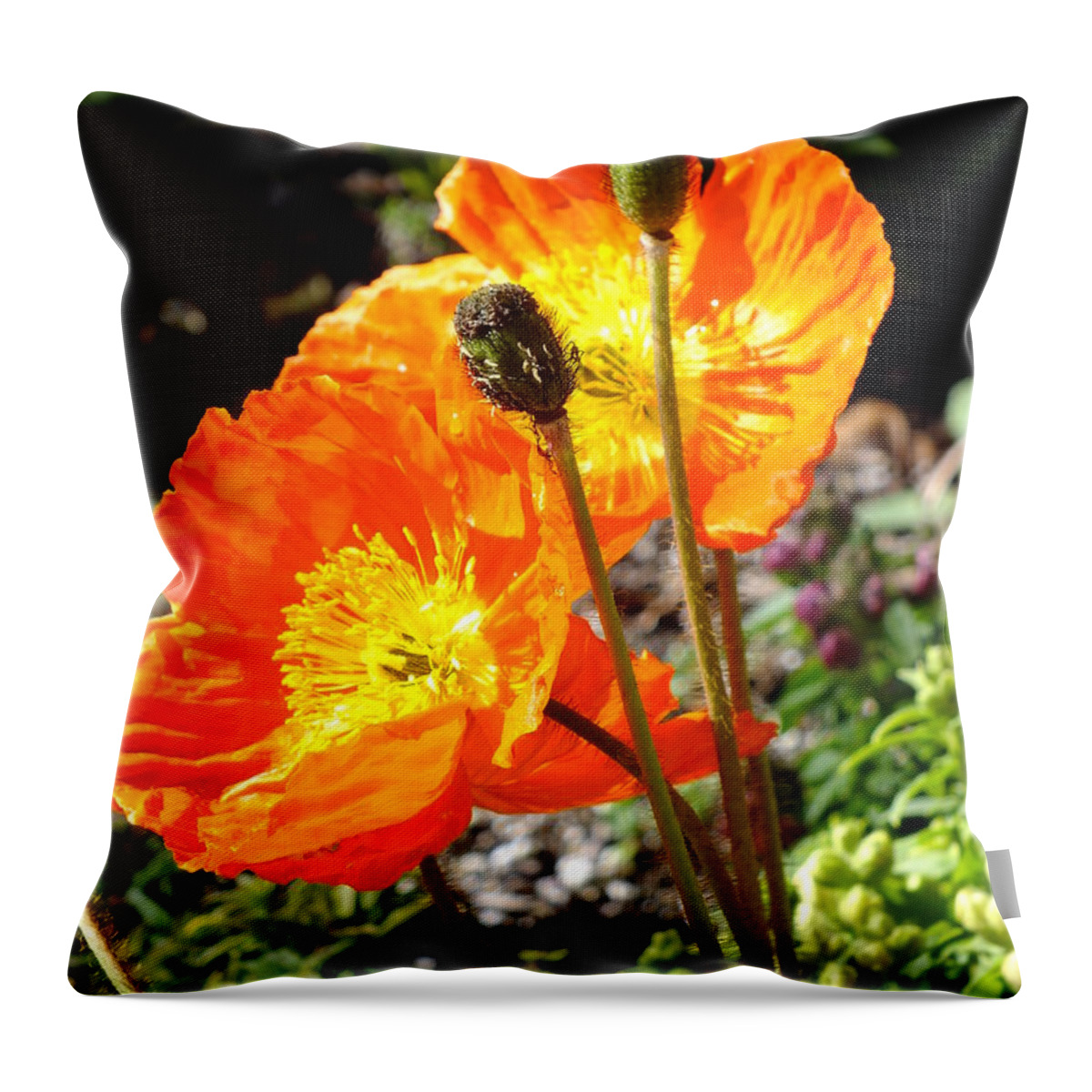 Flowers Throw Pillow featuring the photograph Our beginning by Yenni Harrison
