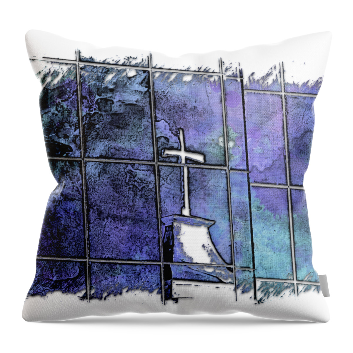 Berry Throw Pillow featuring the photograph Our Father Berry Blues 3 Dimensional by DiDesigns Graphics