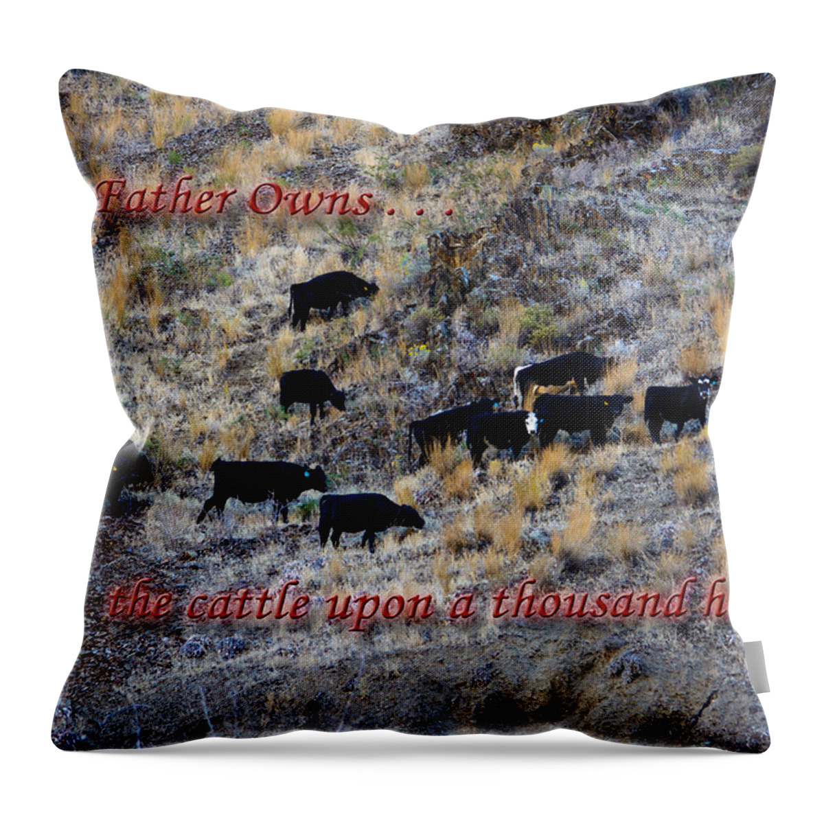Verse Throw Pillow featuring the photograph Our Father Owns by Tikvah's Hope