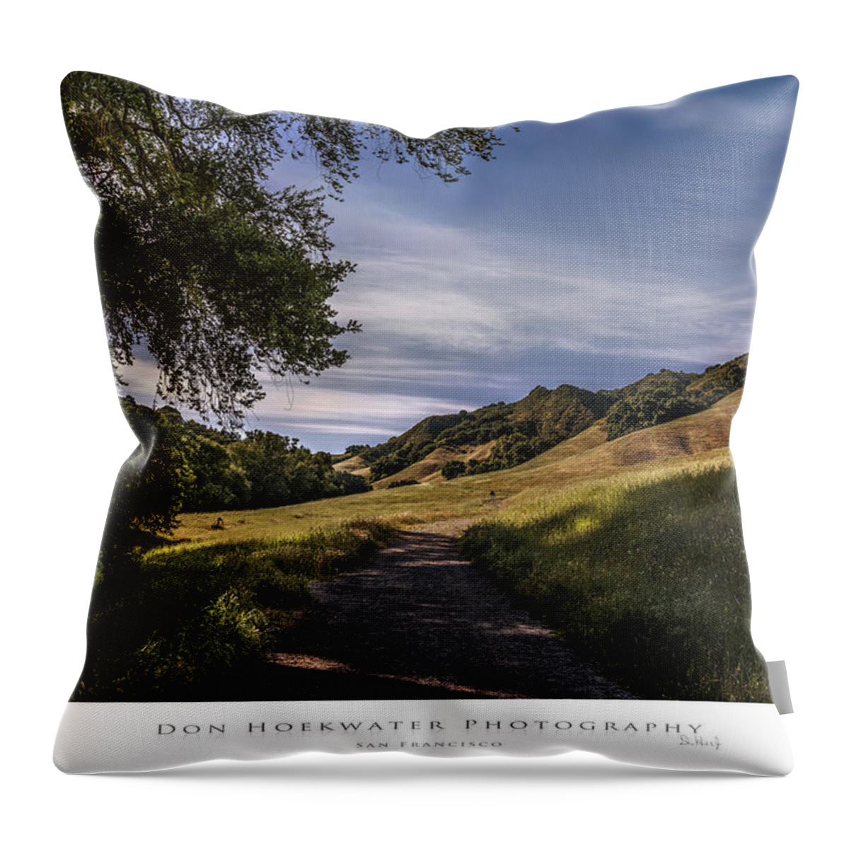 Trampas Throw Pillow featuring the photograph Our For a Walk by Don Hoekwater Photography