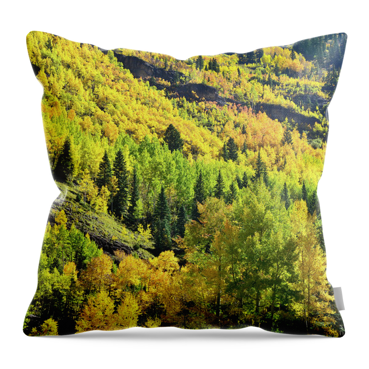 Colorado Throw Pillow featuring the photograph Ouray Canyon Switchbacks by Ray Mathis