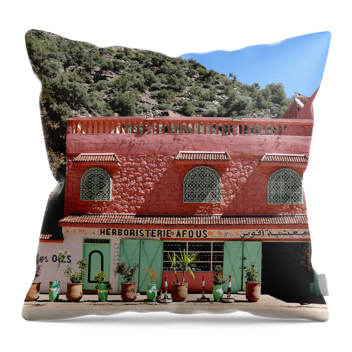 Ourika Valley Throw Pillow featuring the photograph Ourika Valley by Andrew Fare