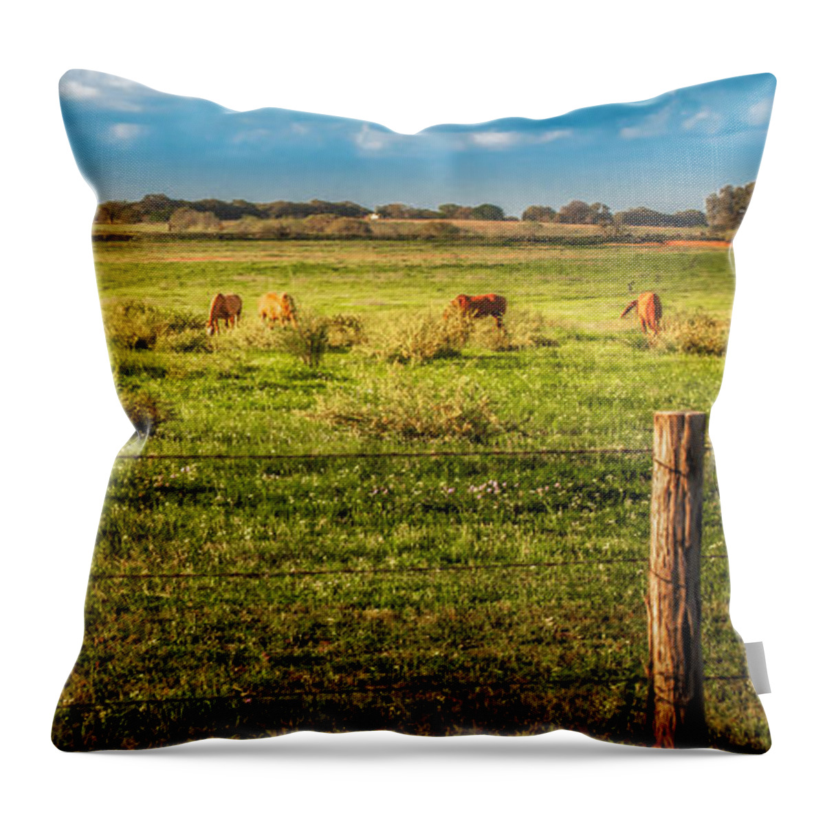 America Throw Pillow featuring the photograph Out For Dinner by Melinda Ledsome
