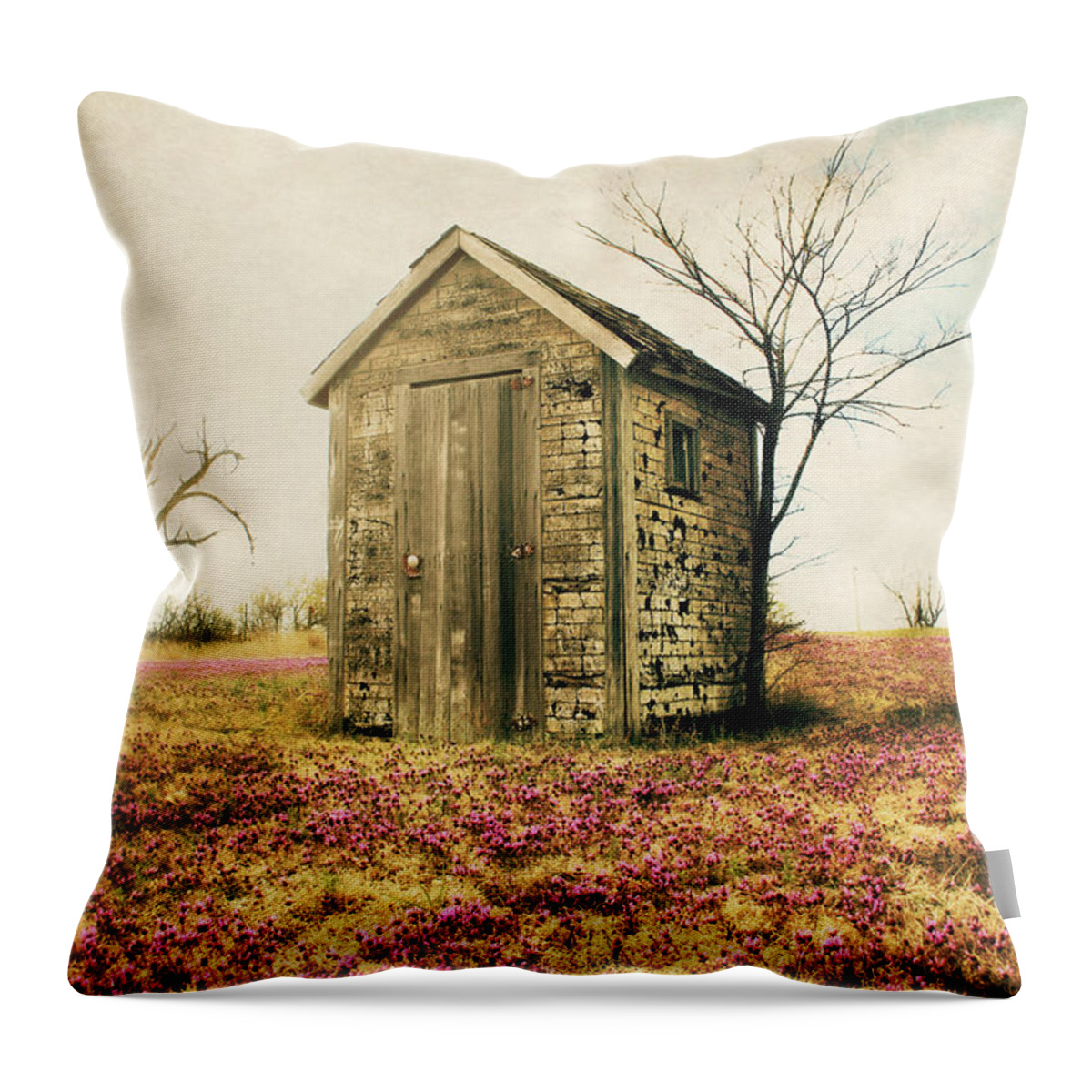 Outhouse Throw Pillow featuring the photograph Outhouse by Julie Hamilton