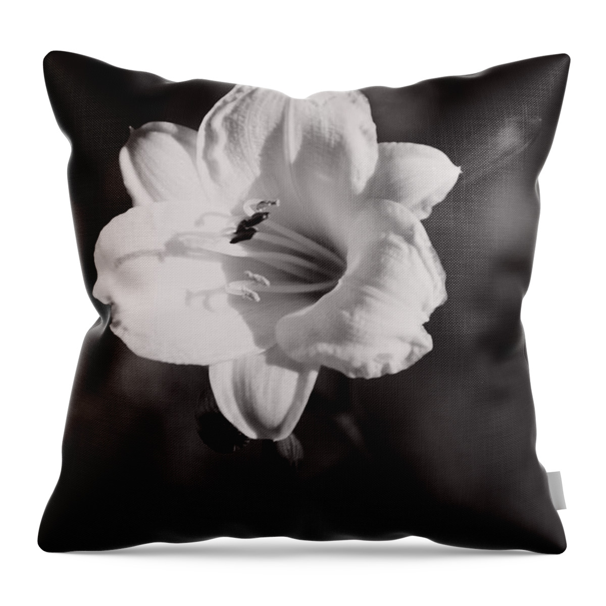 Bloom Throw Pillow featuring the photograph Out of Darkness Into Light - wbw by Linda Shafer