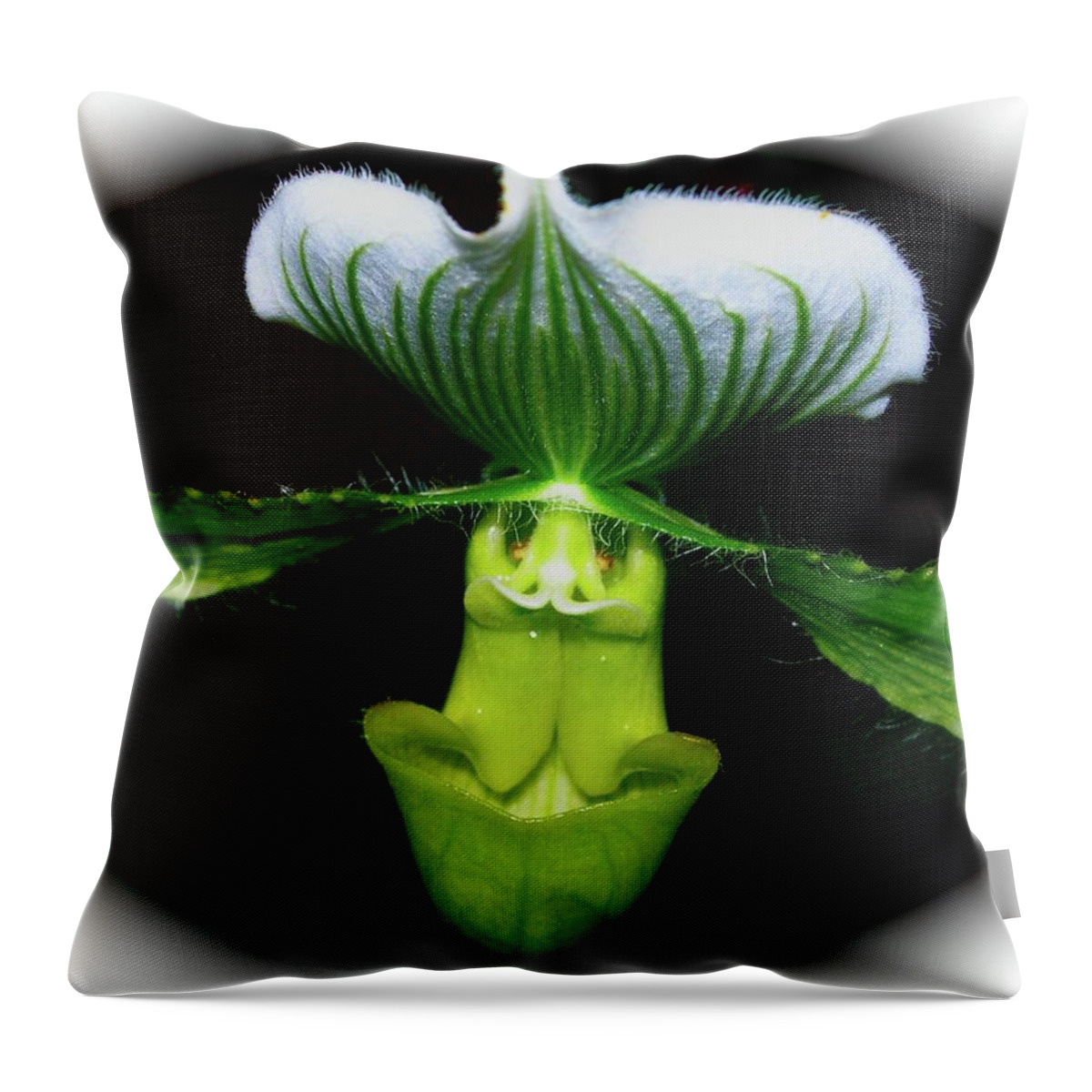 Flora Throw Pillow featuring the photograph Out Of Darkness by Randy Rosenberger
