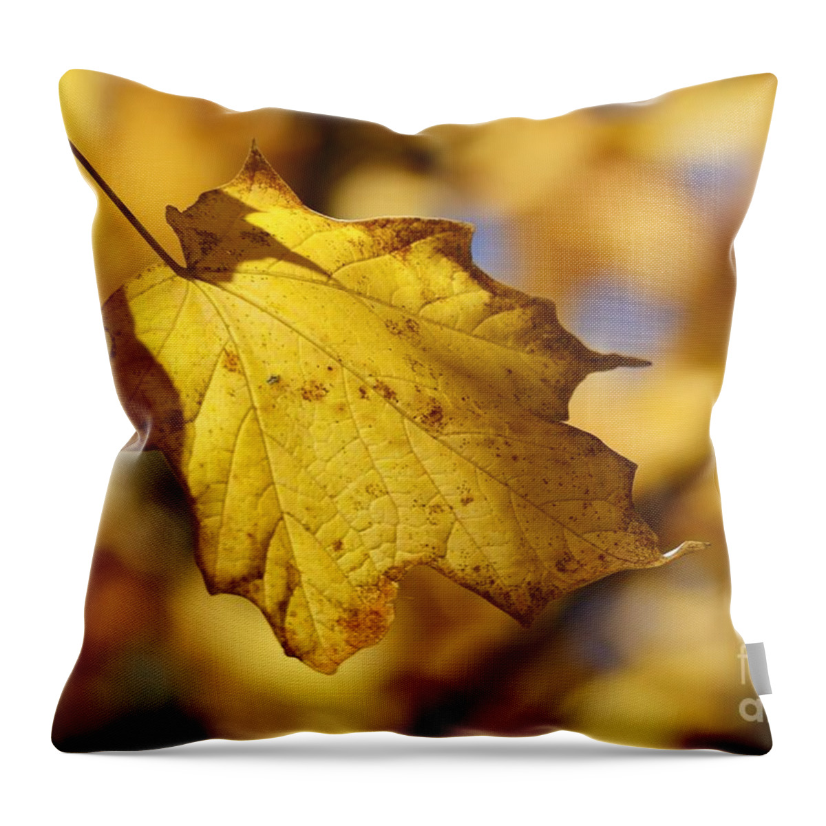 Leaf Tree Fall Autumn Yellow Color Colors Throw Pillow featuring the photograph Out of Many  One 2440 by Ken DePue
