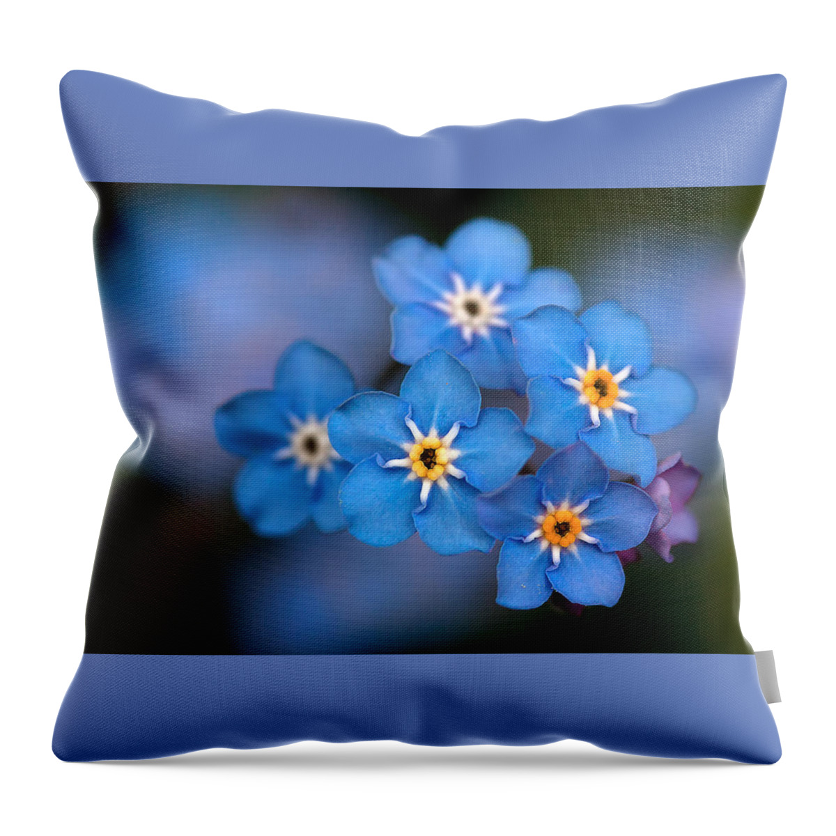 Forget Me Not Flower Throw Pillow featuring the photograph Out of the Blue by Shirley Mitchell
