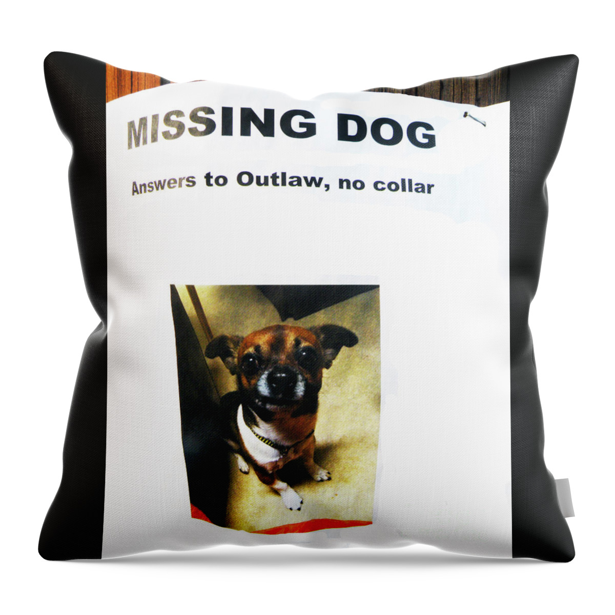 Funny Dog Poster Throw Pillow featuring the photograph Outlaw by Joe Pratt