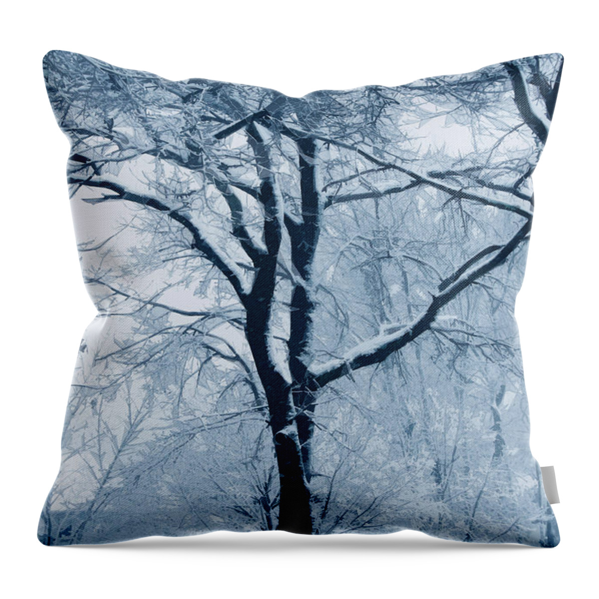 Trees Throw Pillow featuring the photograph Outside my window by Linda Sannuti