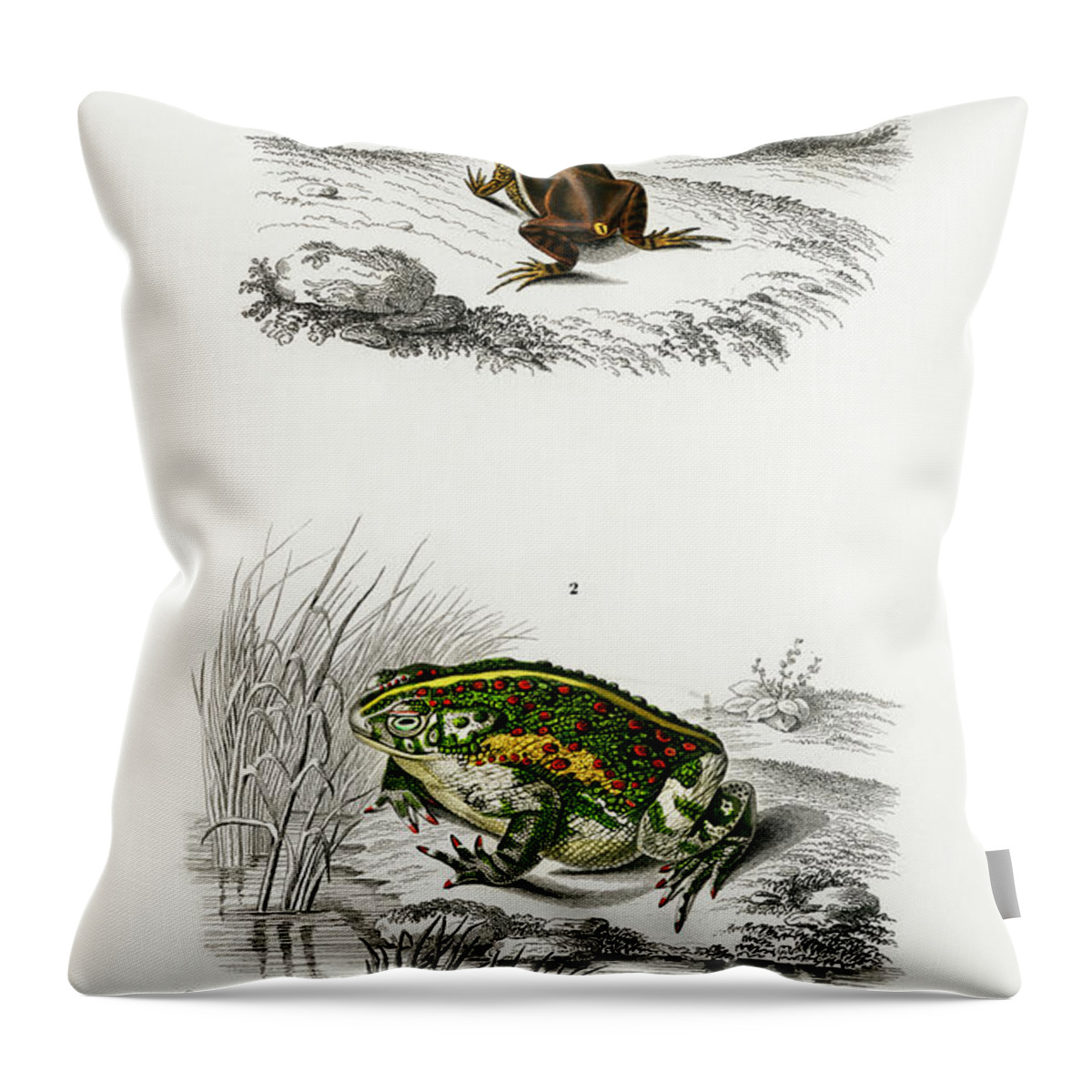 Image Throw Pillow featuring the painting Oval frog and Green toad by Vincent Monozlay