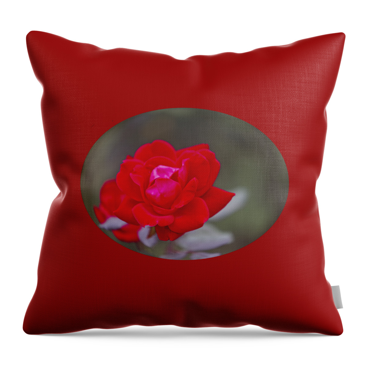 Nature Throw Pillow featuring the photograph Oval Rose Motif by Linda Phelps