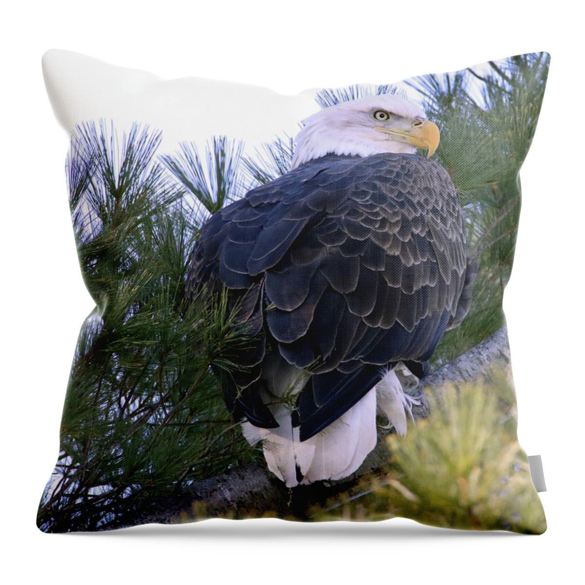 Eagle Throw Pillow featuring the photograph Over the Shoulder by Brook Burling