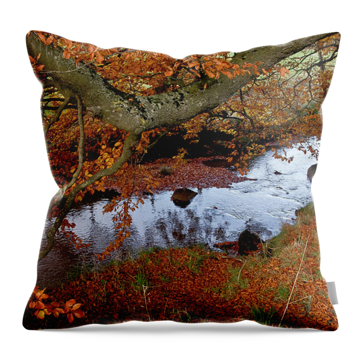 Autumn Throw Pillow featuring the photograph Over the stream by Elena Perelman