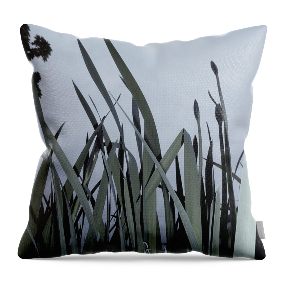 Orchid Throw Pillow featuring the photograph Over There by Leon DeVose