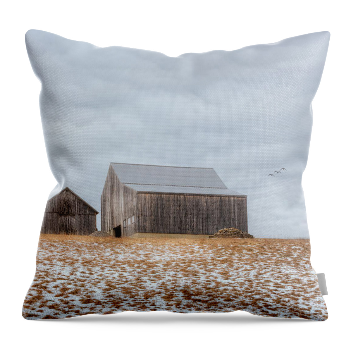 Barn Throw Pillow featuring the photograph Overcast by Bill Wakeley