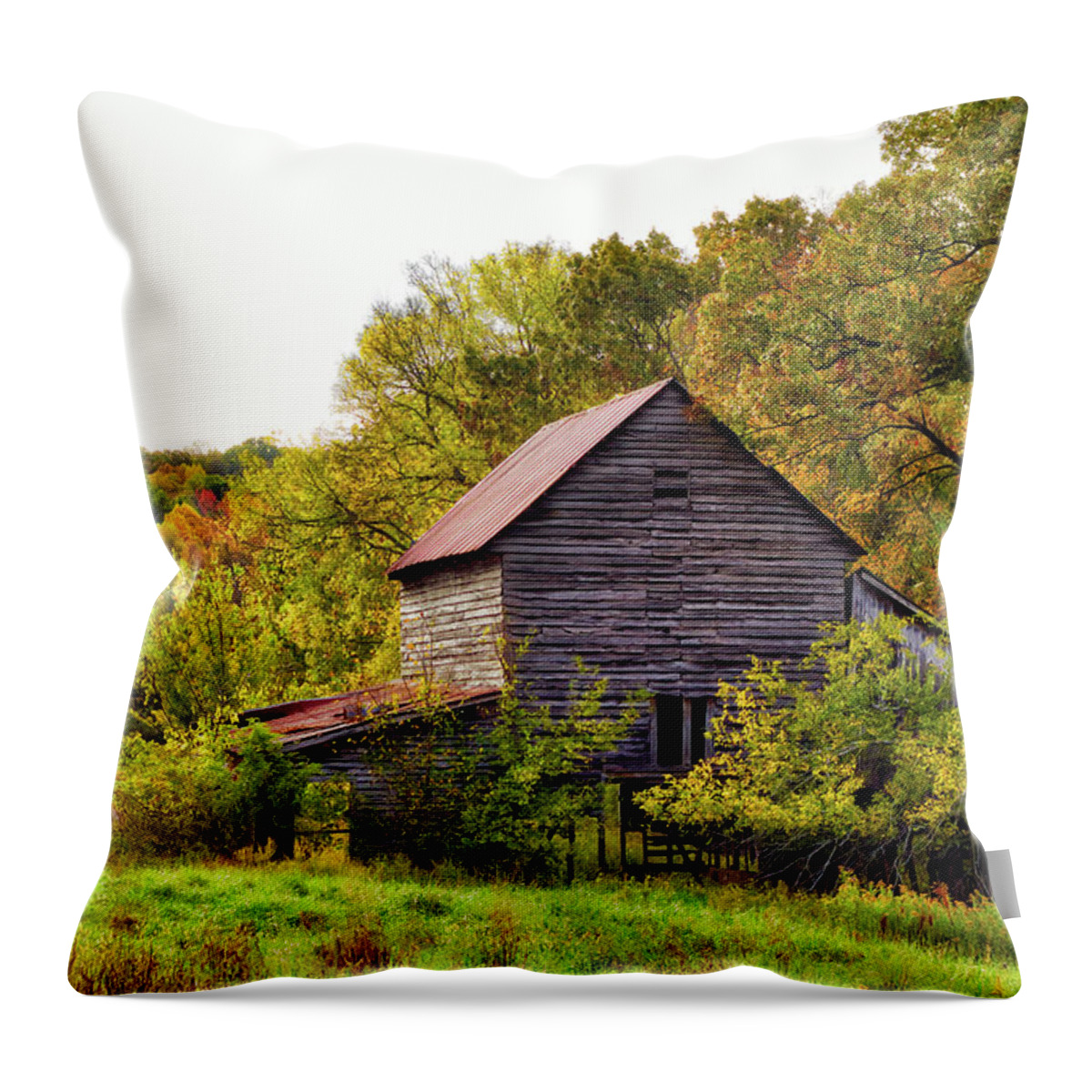 Landscape Throw Pillow featuring the photograph Overgrown by Amber Kresge