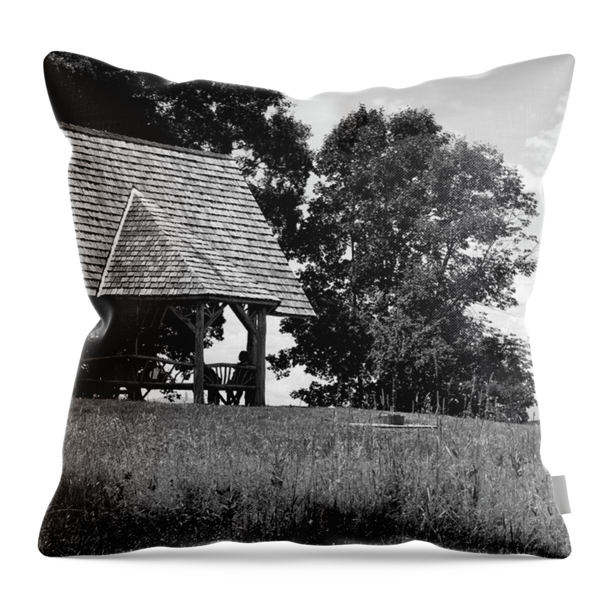Architecture Throw Pillow featuring the photograph Overlook Pavilion in Summer #1 by Jeff Severson