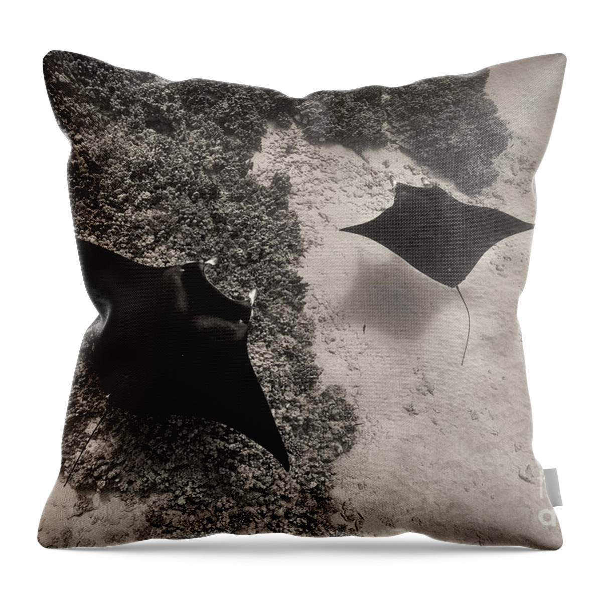 Manta Ray Throw Pillow featuring the photograph Over The Reef by Aaron Whittemore