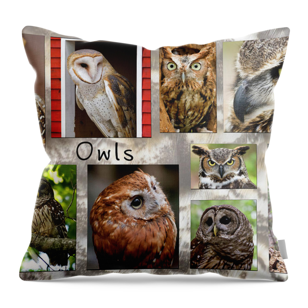 Owls Throw Pillow featuring the photograph Owl Photomontage by Jill Lang