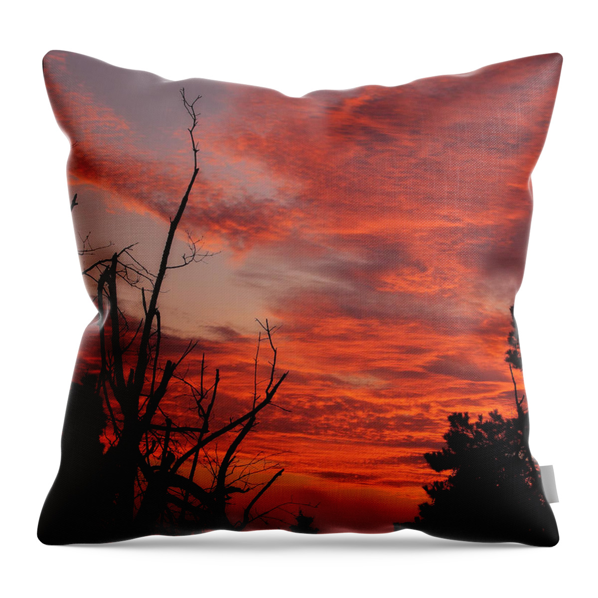 Dawn Throw Pillow featuring the photograph Ozark Dawn by Michael Dougherty