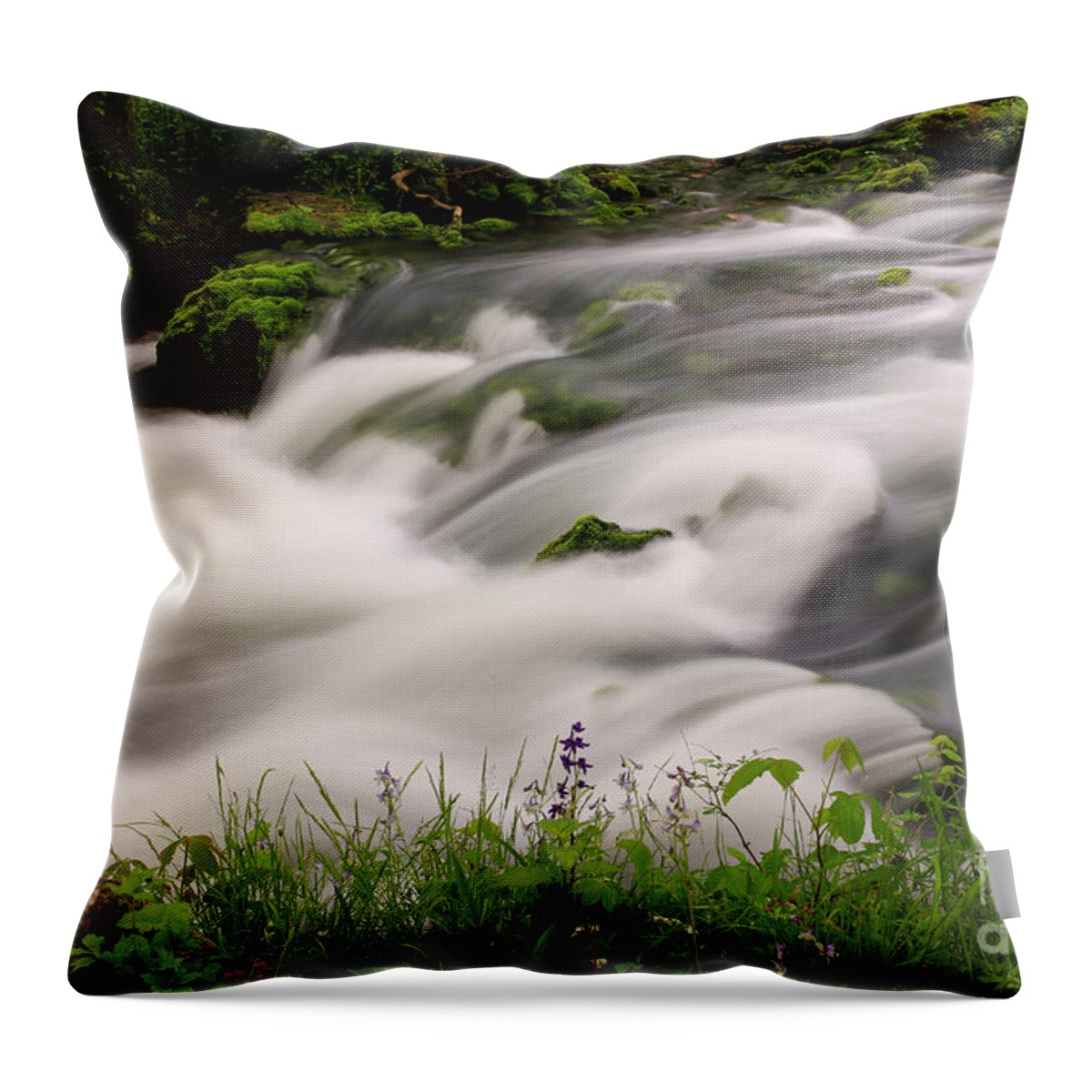 Missouri Ozarks Throw Pillow featuring the photograph Alley Spring by Lynn Sprowl