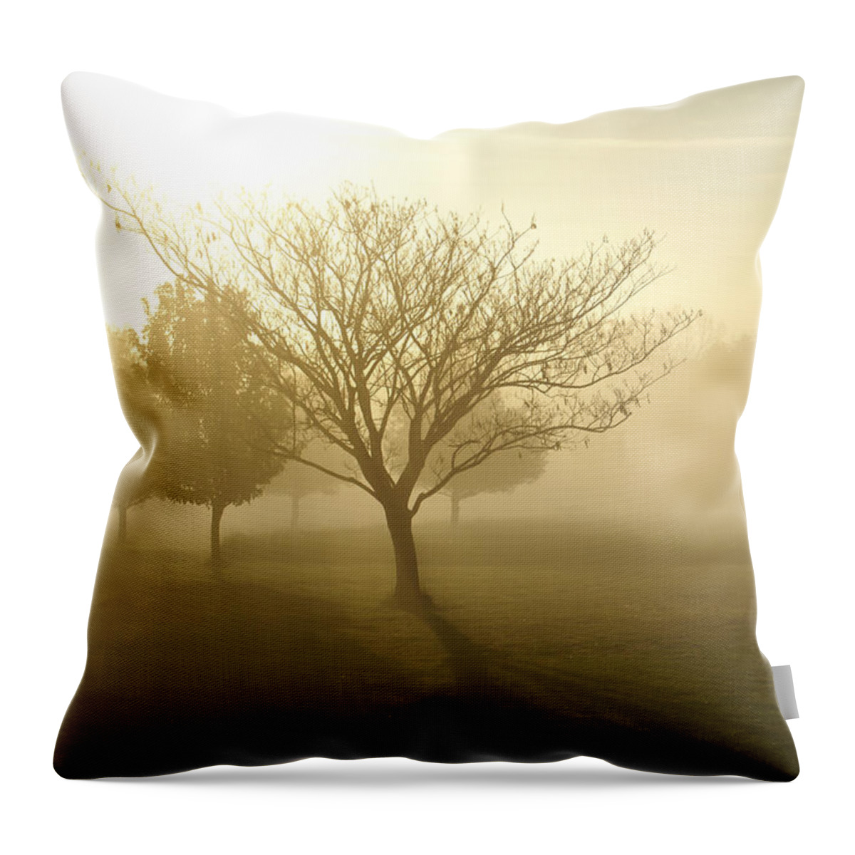 Fog Throw Pillow featuring the photograph Ozarks Misty Golden Morning Sunrise by Jennifer White