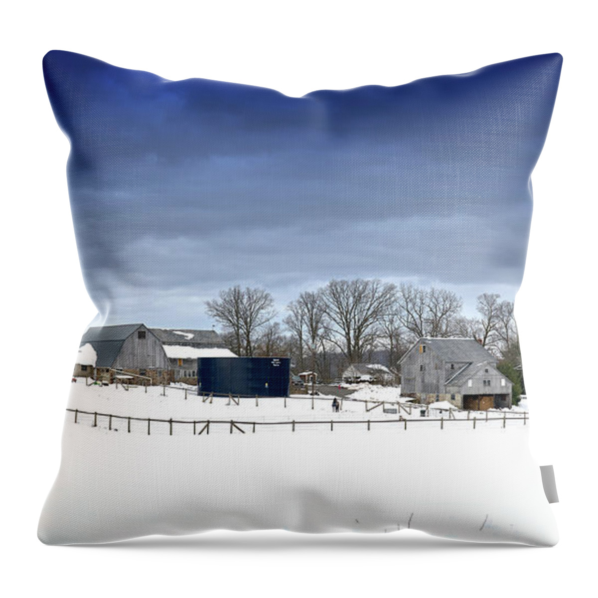 Landscape Throw Pillow featuring the photograph PA Farm by Paul Ross