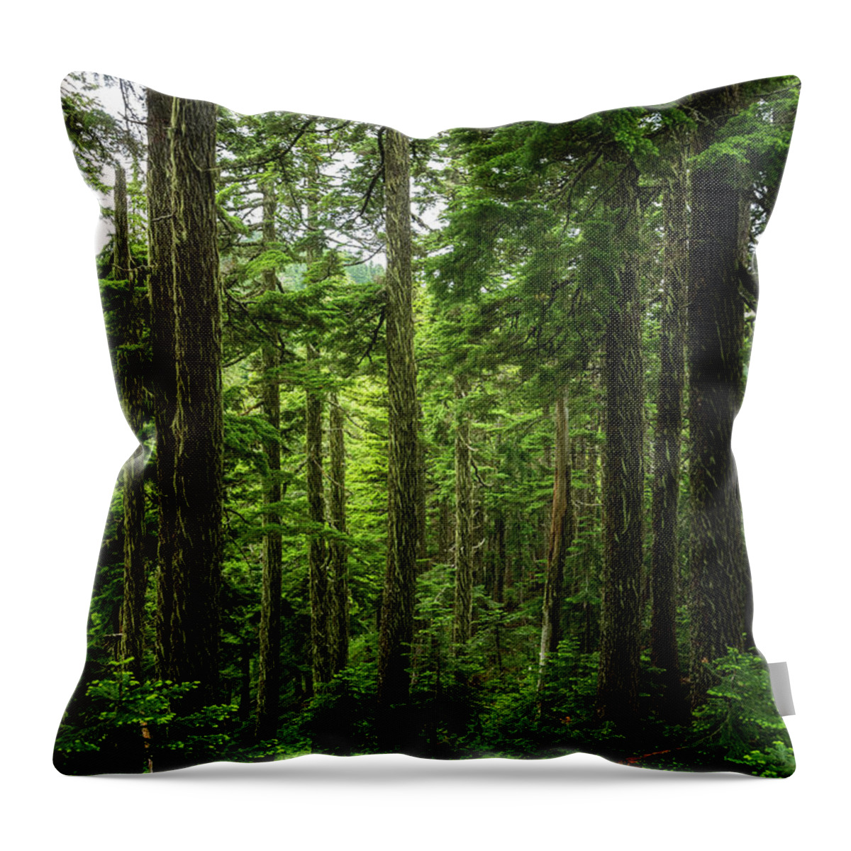 Scenic Throw Pillow featuring the photograph Pacific Northwest Forest by Pelo Blanco Photo