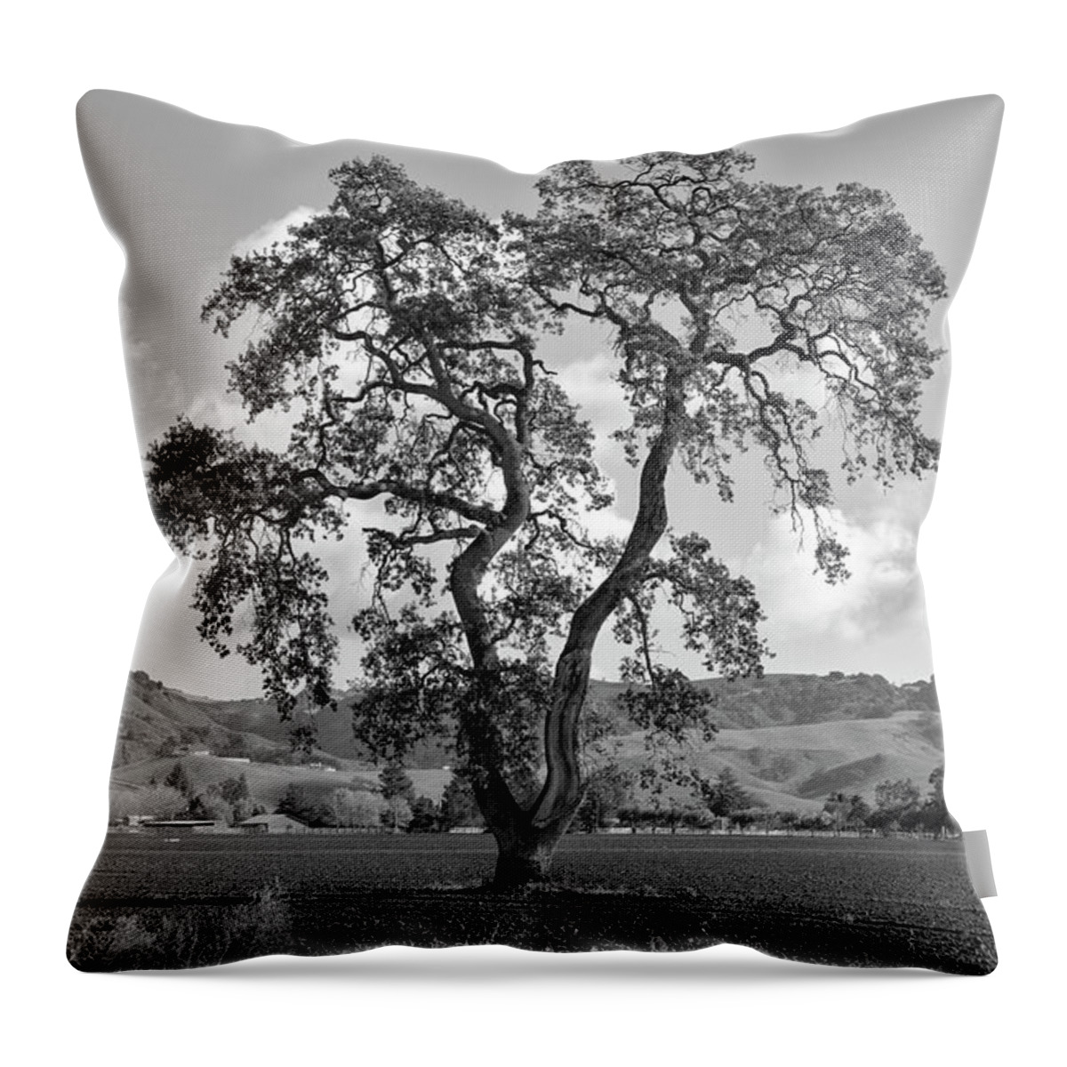 California Throw Pillow featuring the photograph Pacheco Pass by Sonny Marcyan