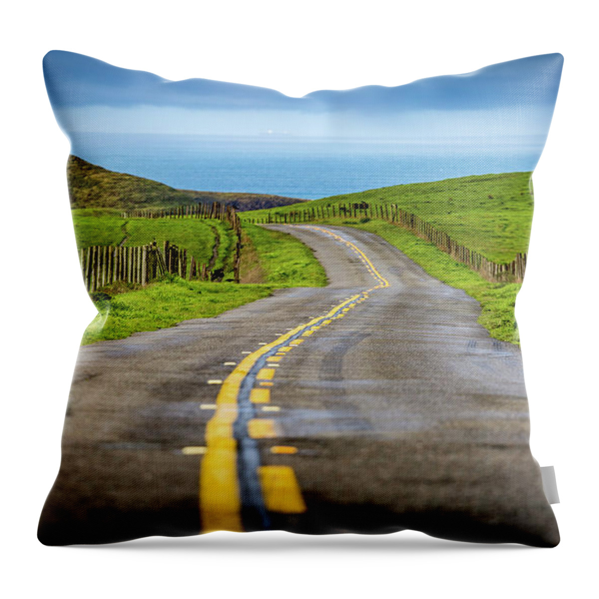 Pacific Coast Throw Pillow featuring the photograph Pacific Coast Road to Tomales Bay by Donnie Whitaker