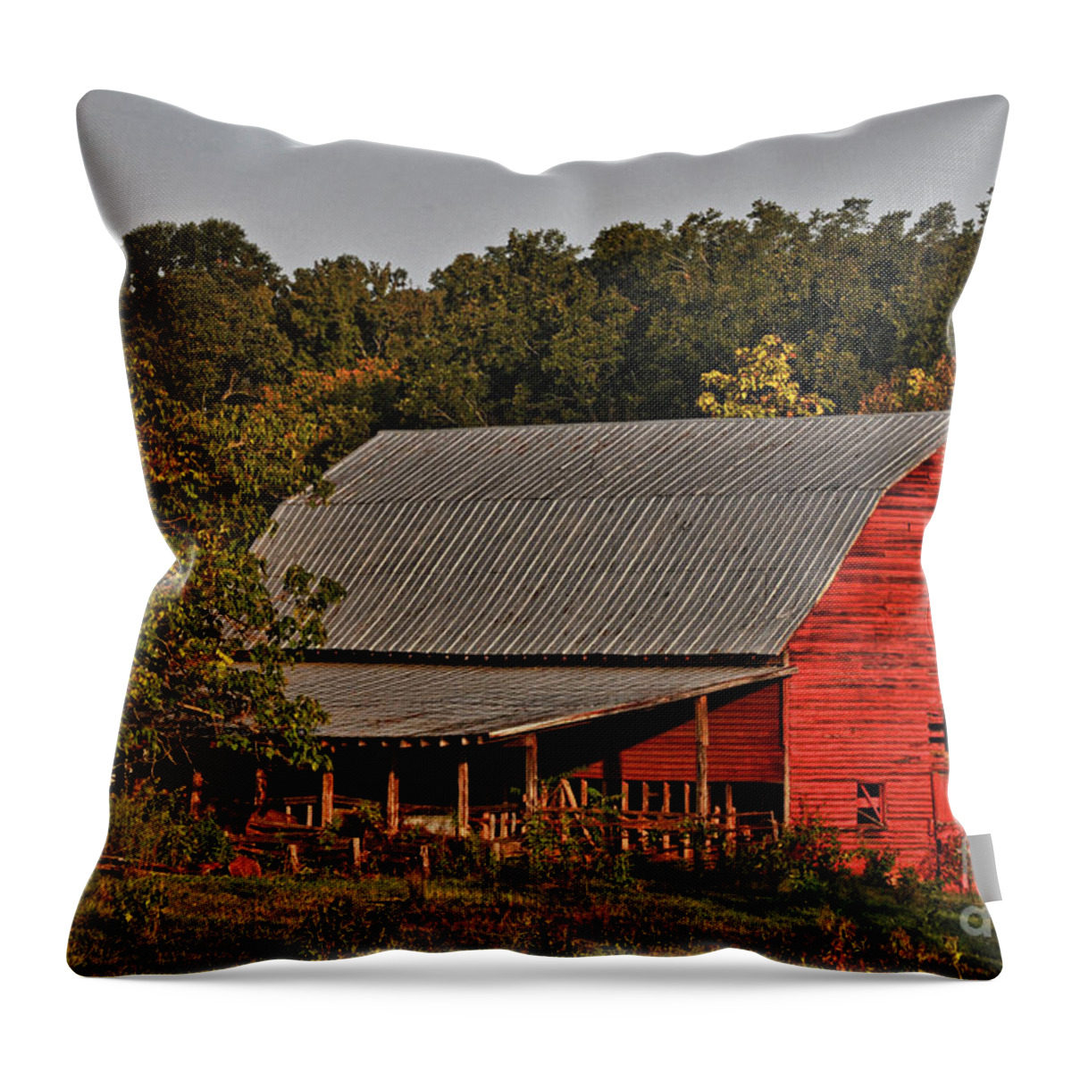 Barn Throw Pillow featuring the photograph Paint it Red by Randy Rogers