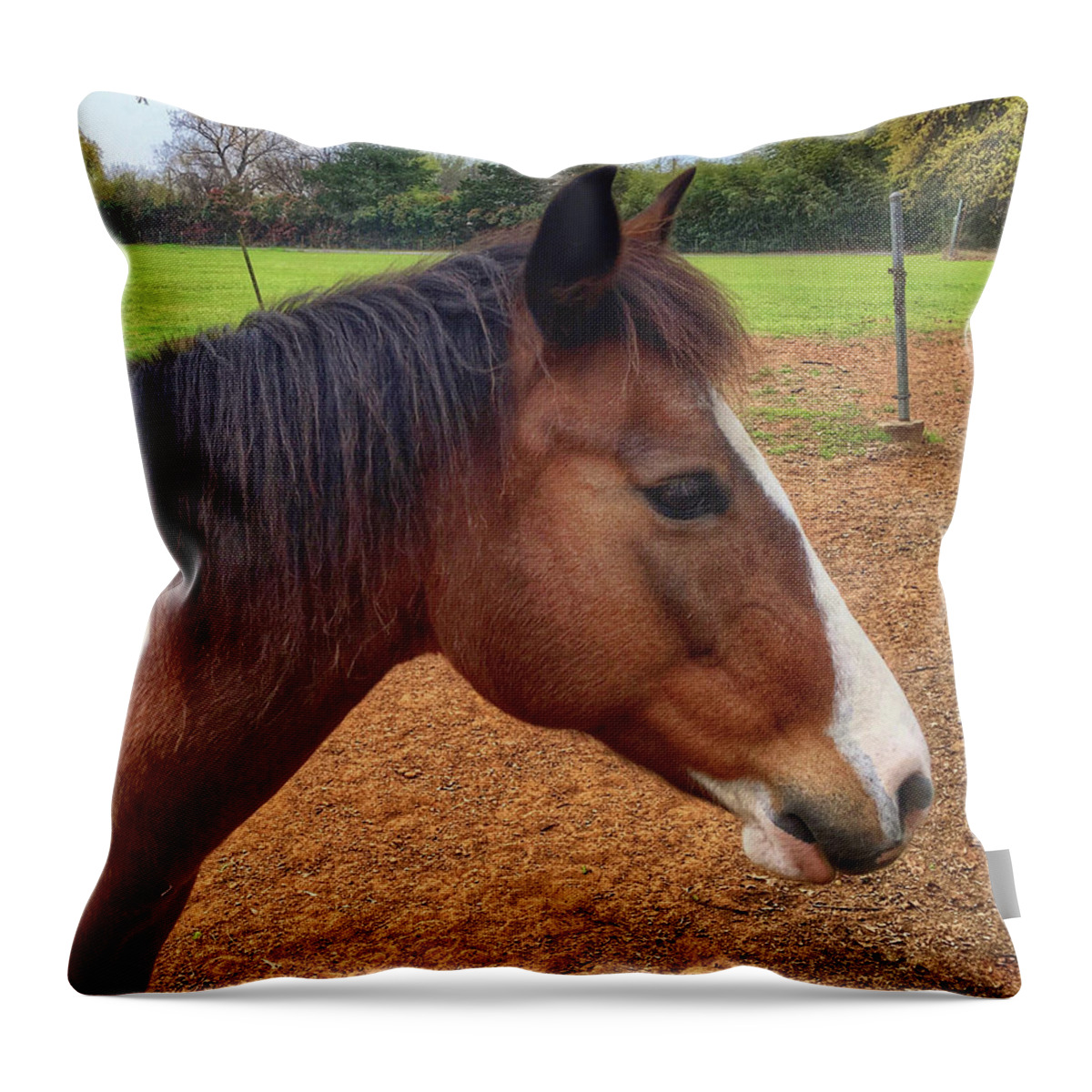 Horse Throw Pillow featuring the photograph Paint Profile by Doris Aguirre