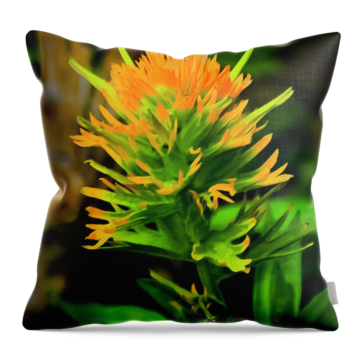 Paintbrush Throw Pillow featuring the photograph Paintbrush by Albert Seger