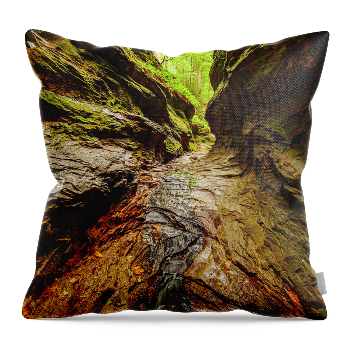 Indiana Throw Pillow featuring the photograph Painted Canyon by Todd Bannor