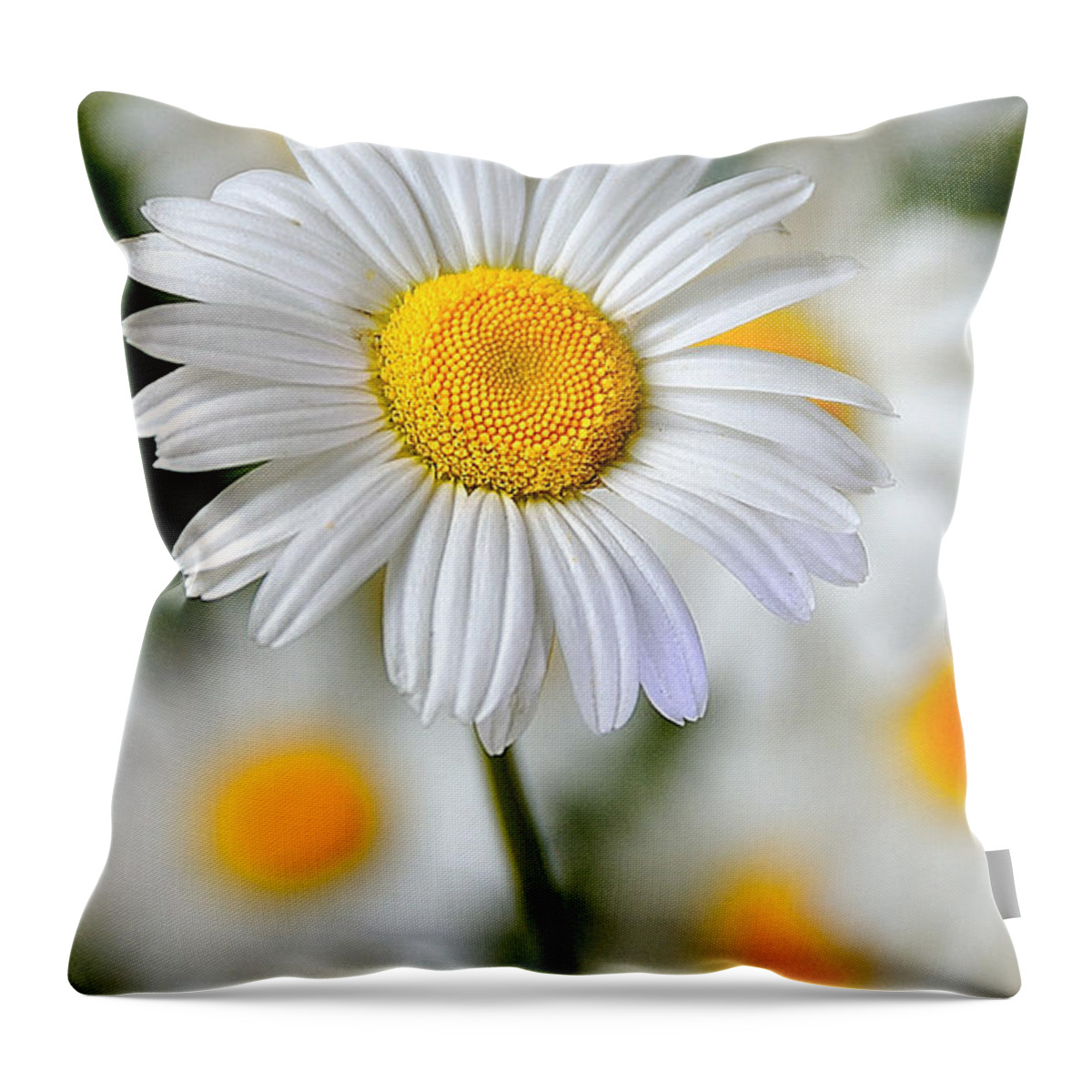 Flower Throw Pillow featuring the photograph Painted Daisies by Mark Fuller