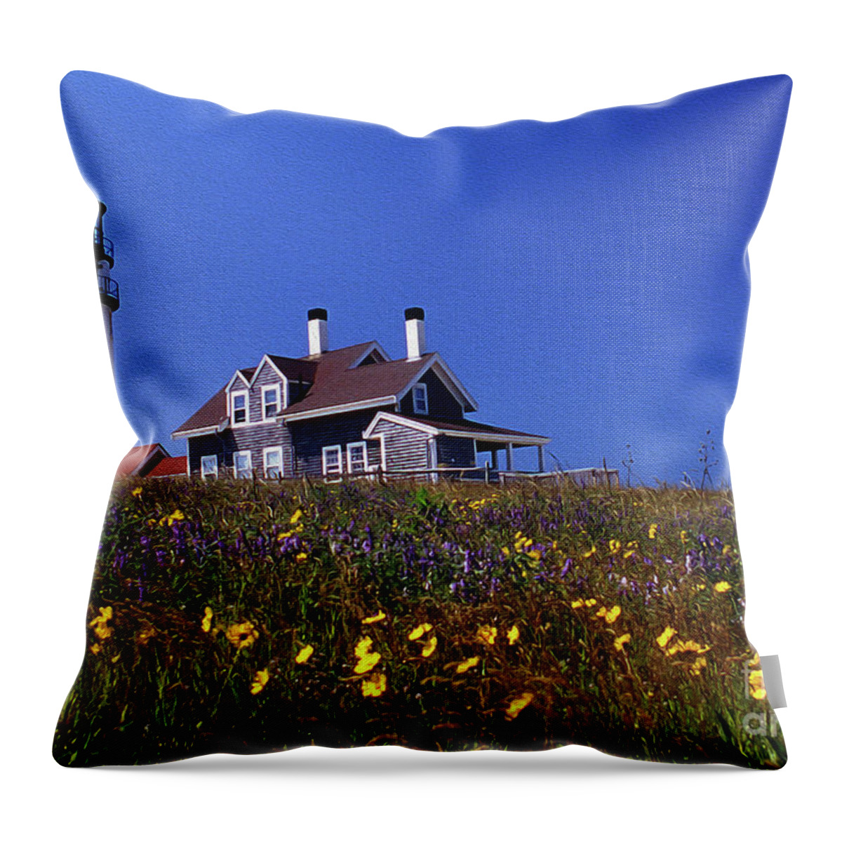 Lighthouses Throw Pillow featuring the photograph Painted Highland Lighthouse Cape Cod by Skip Willits