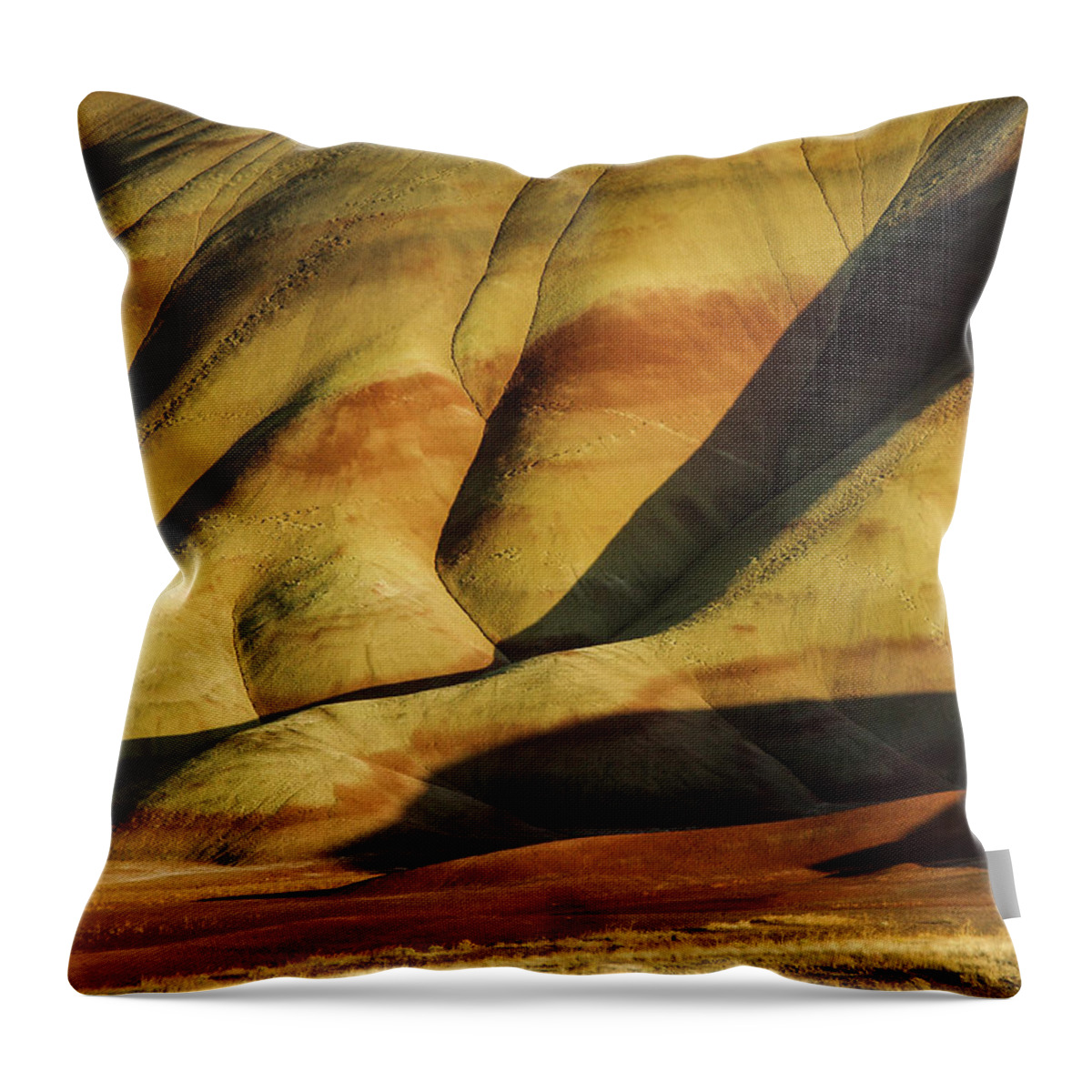 Landscapes Throw Pillow featuring the photograph Painted in Gold by Steven Clark
