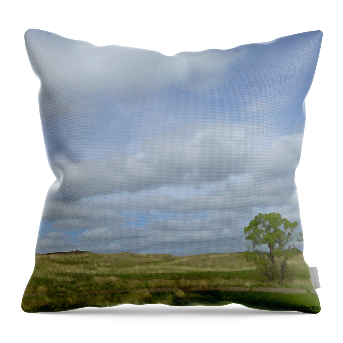 South Dakota Throw Pillow featuring the photograph Painted Plains by JoAnn Lense