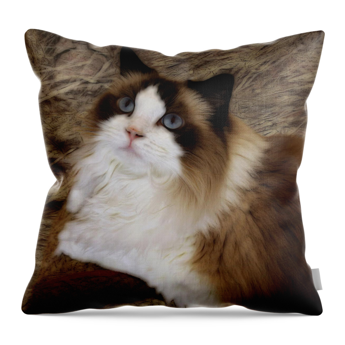 Cat Throw Pillow featuring the photograph Painted Princess by Judy Vincent