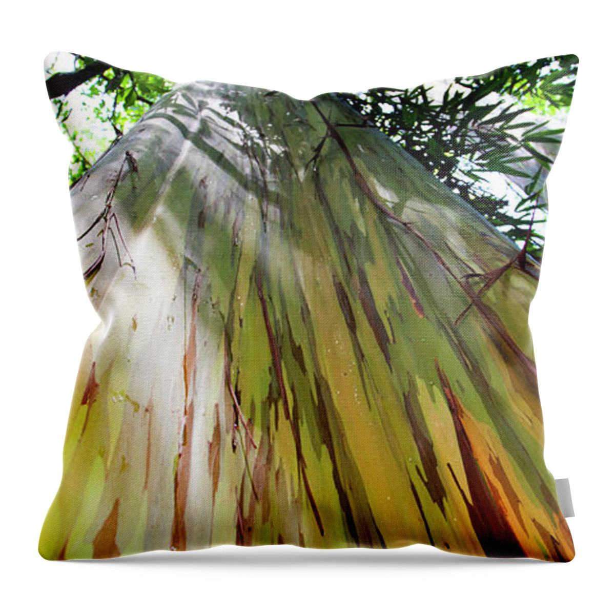 Painted Eucalyptus Tree Throw Pillow featuring the photograph Painted Tree by Anthony Jones