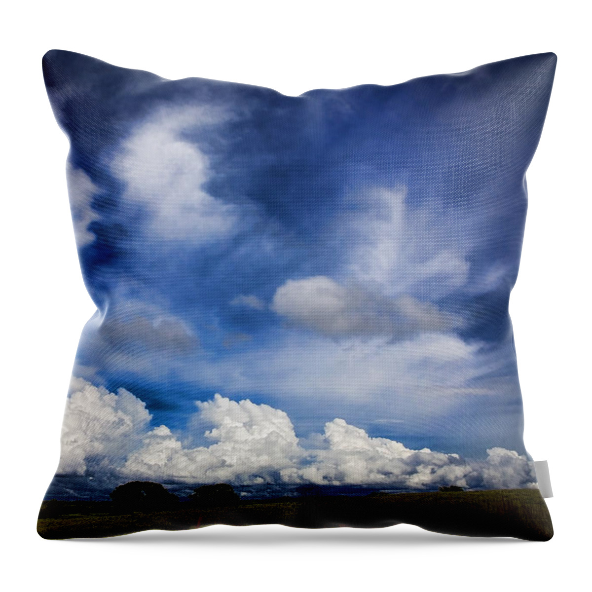 Landscape Throw Pillow featuring the photograph Painterly Sky over Oklahoma by Toni Hopper