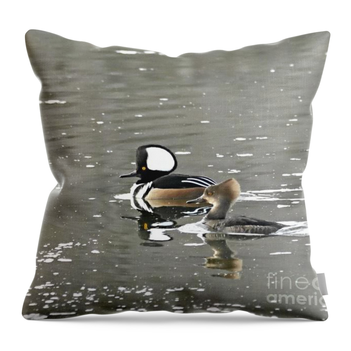 Photography Throw Pillow featuring the photograph Pair of Hooded Mergansers by Larry Ricker