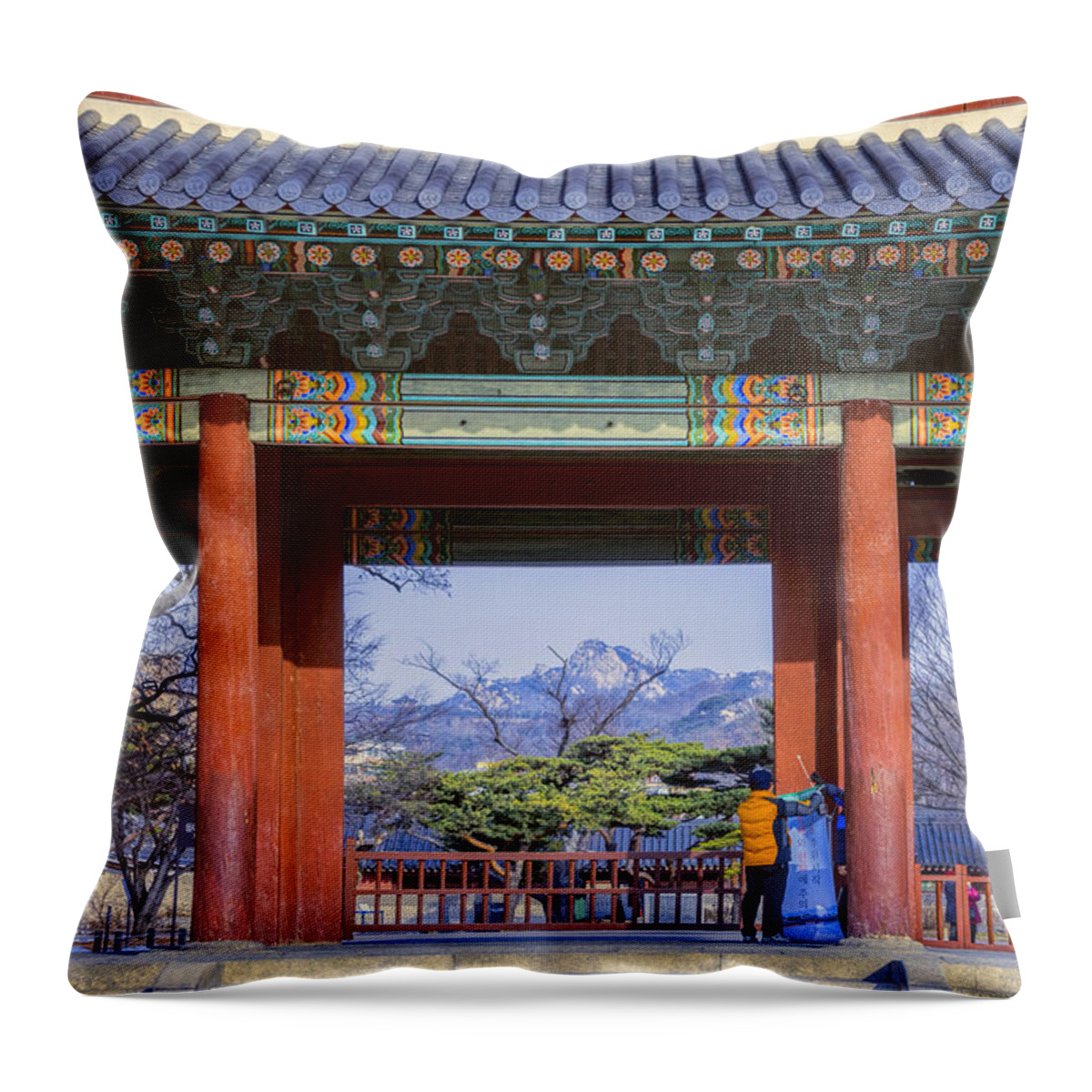 Joan Carroll Throw Pillow featuring the photograph Palace Entry by Joan Carroll
