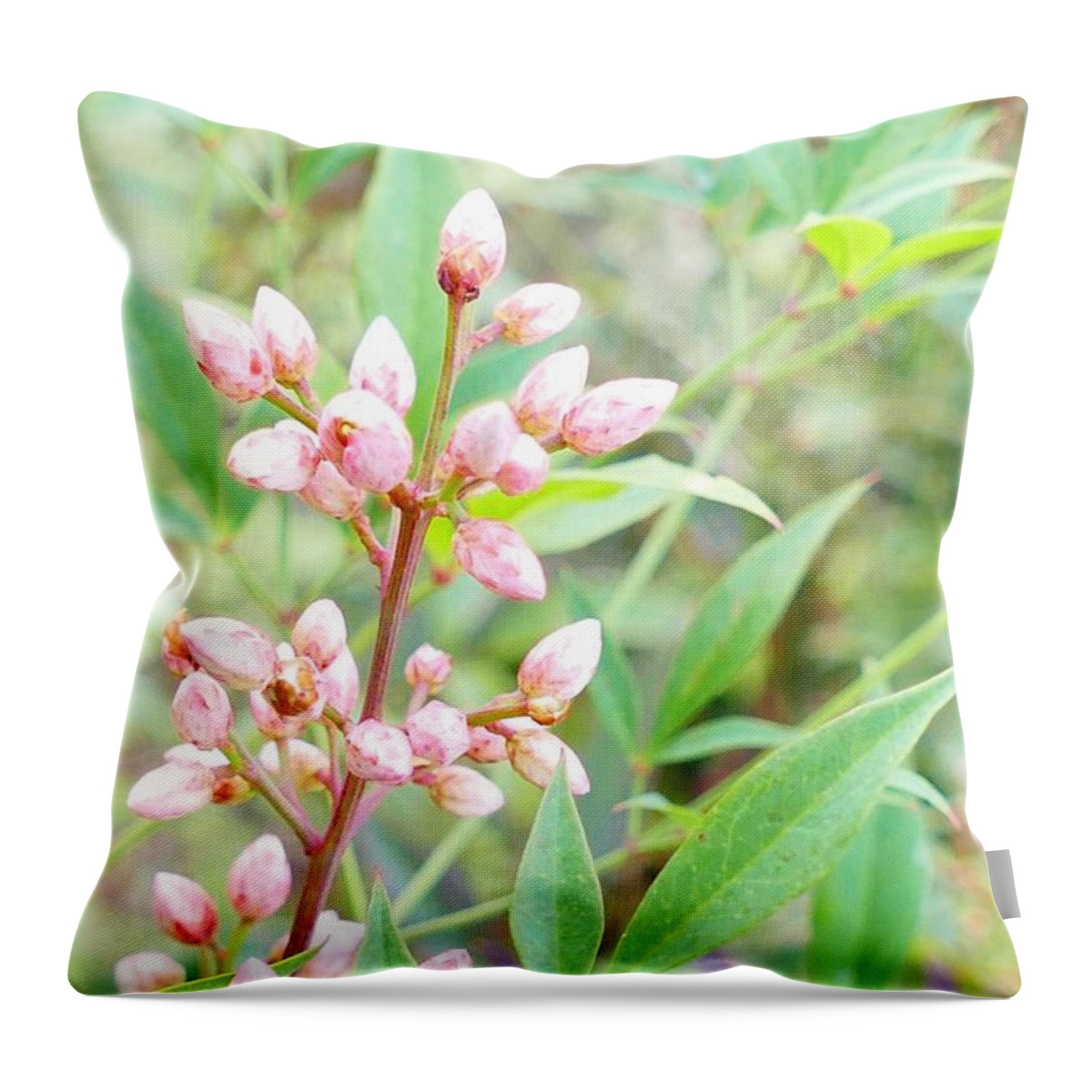 Photography Throw Pillow featuring the photograph Pale Powder Pink Plant by Ivana Westin