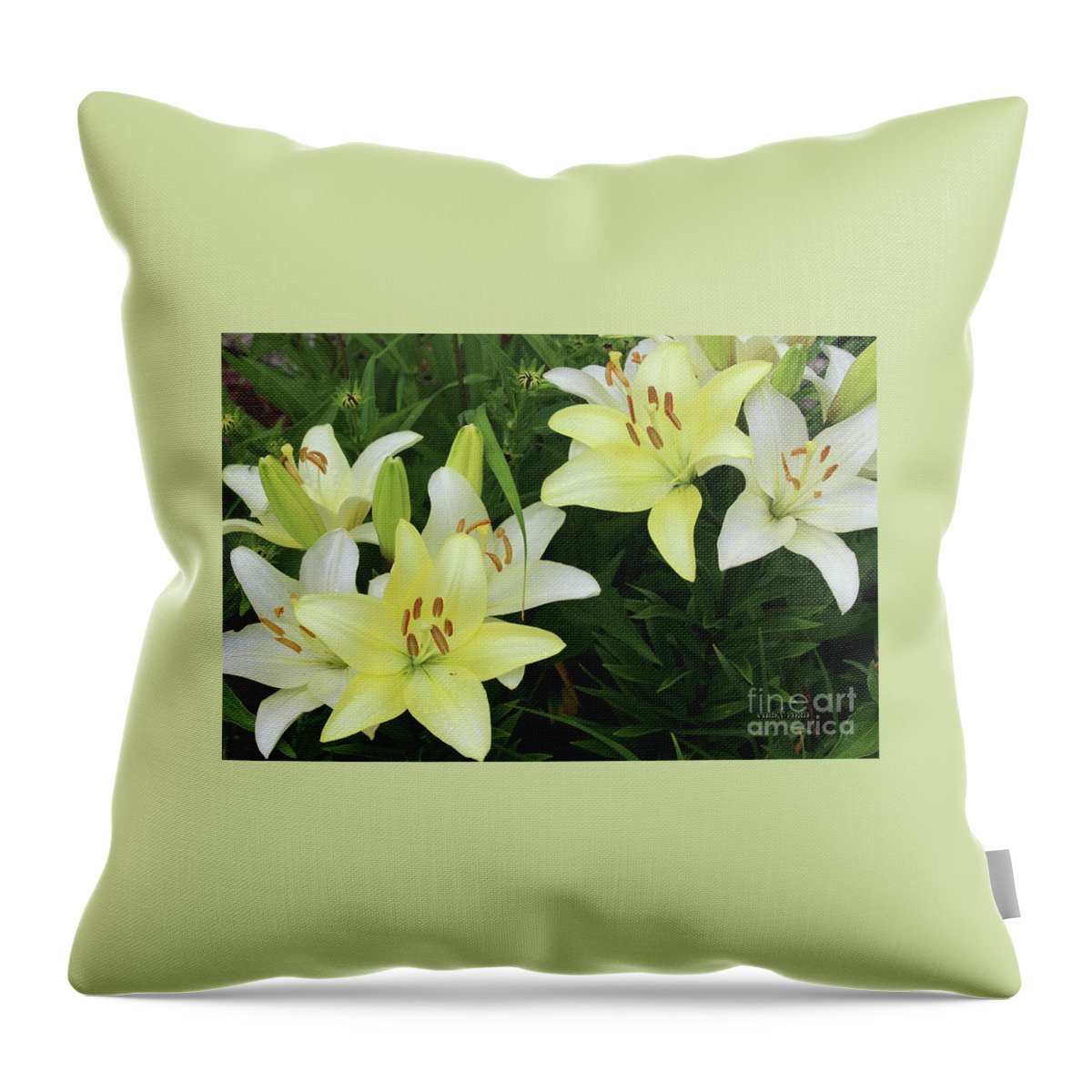 Flower Pictures Throw Pillow featuring the painting Pale Yellow Daylily Flowers by Corey Ford