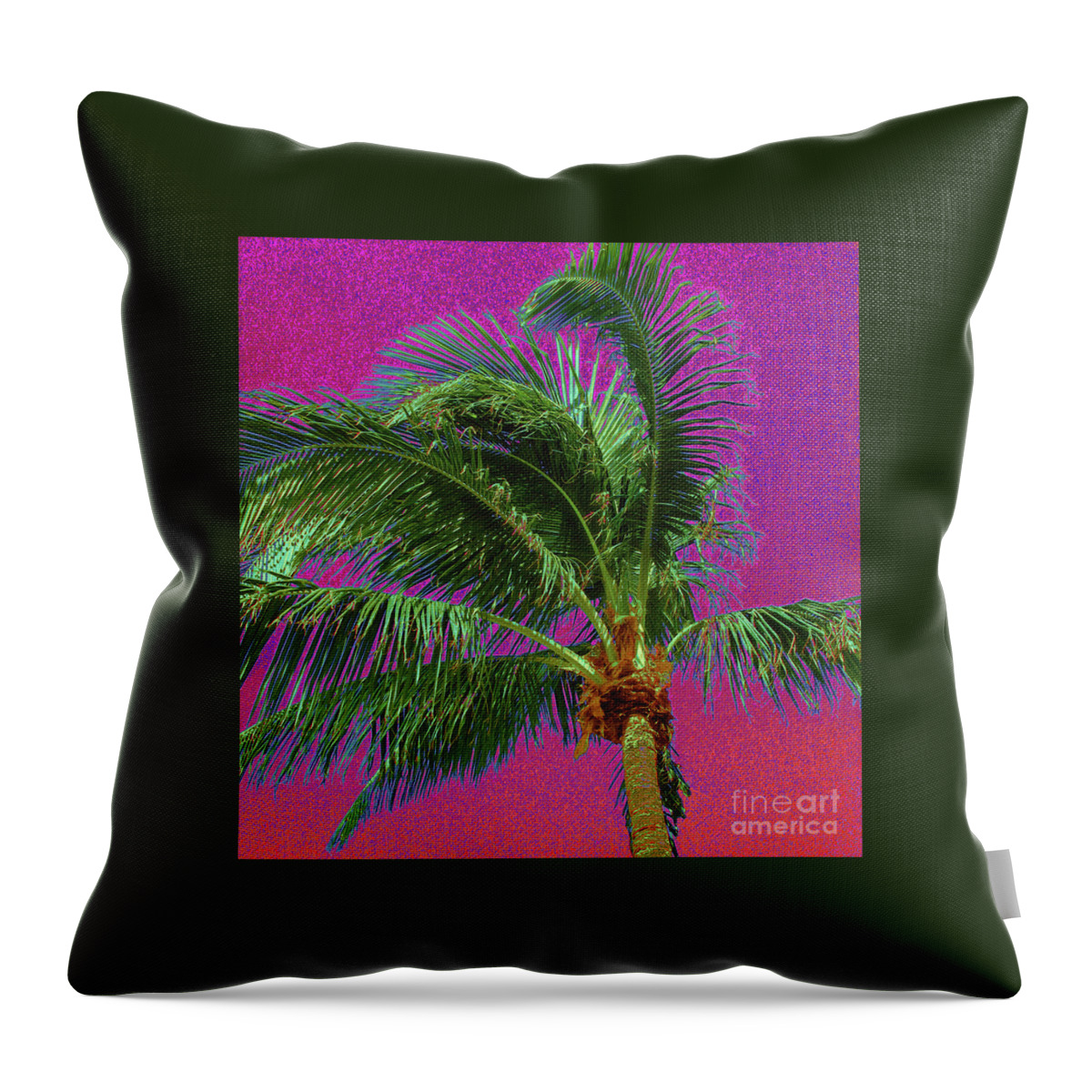 Palm Tree Throw Pillow featuring the photograph Palm 1012 by Corinne Carroll