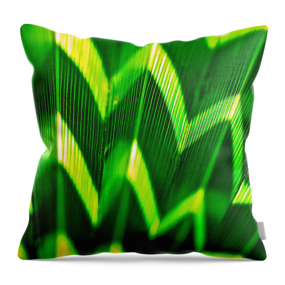 Palm Leaf Throw Pillow featuring the photograph Palm Abstract by Michael Cinnamond