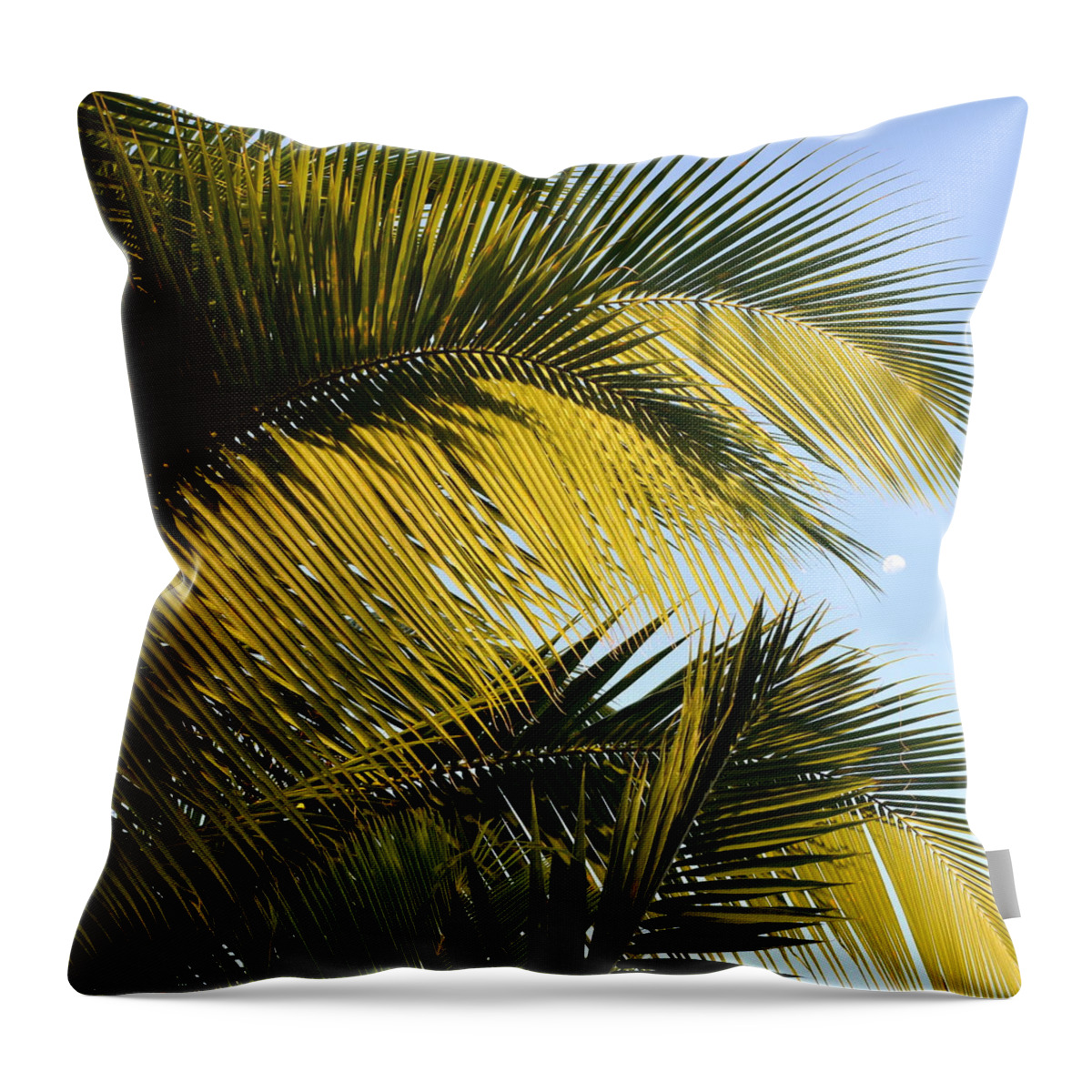 Palm Tree Throw Pillow featuring the photograph Palm detail by Corinne Rhode
